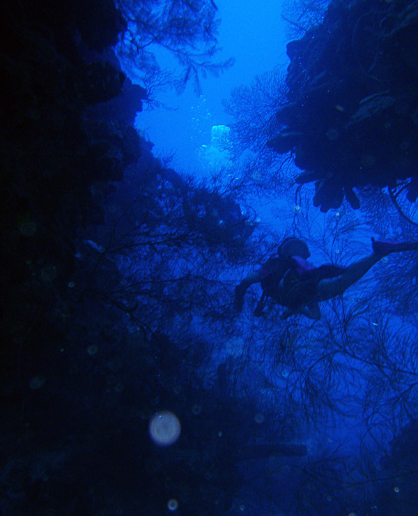 60' Underwater Photo